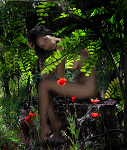 Cliquez ici pour voir l'image (Darine_by_JPGauthron_87.jpg)