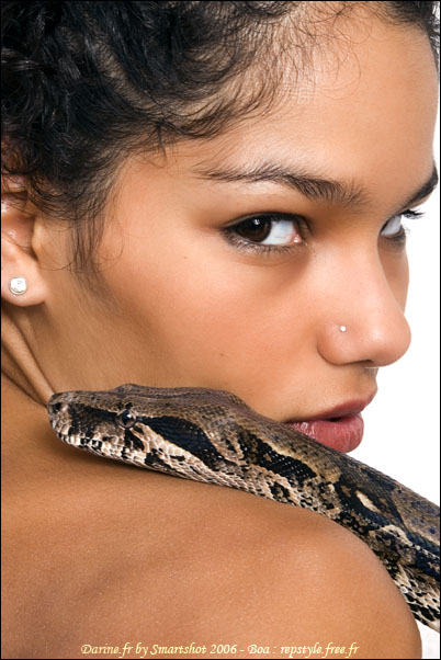 Darine by Smartshot 7740