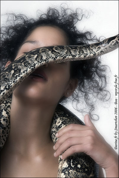 Darine by Smartshot 7745
