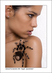 Cliquez ici pour voir l'image (Darine_by_Smartshot_7885.jpg)